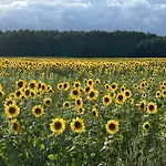 Urlaub Auf Dem Land Triepkendorf