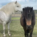 Urlaub Auf Dem Land شقة