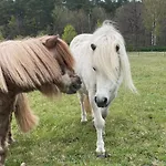شقة Urlaub Auf Dem Land