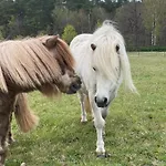 Urlaub Auf Dem Land