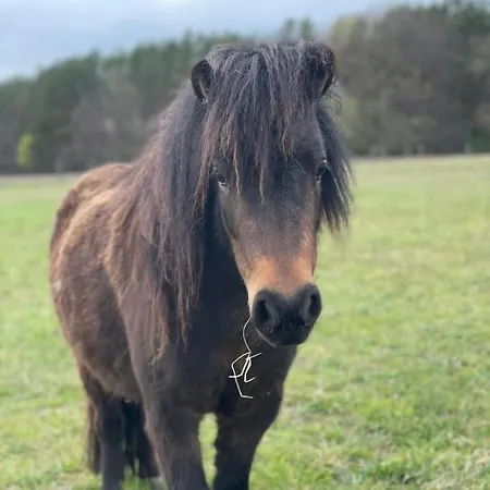 Urlaub Auf Dem Land Apartmán