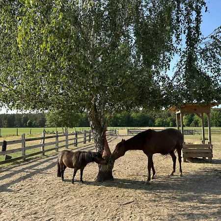 Urlaub Auf Dem Land Apartmán Triepkendorf