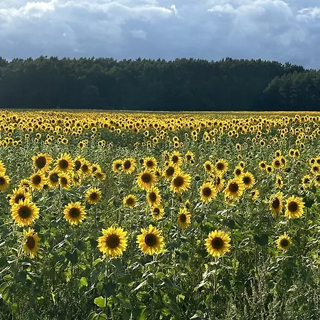 Urlaub Auf Dem Land Triepkendorf
