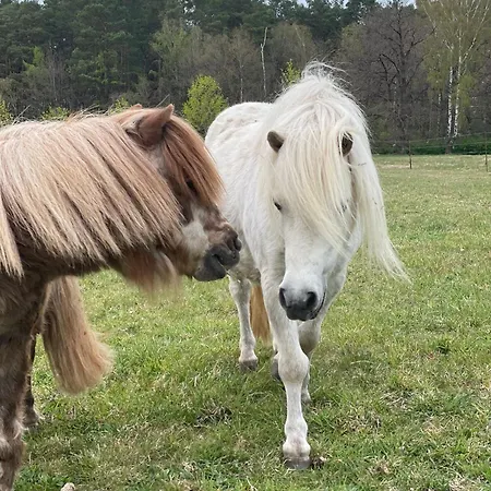 Apartmán Urlaub Auf Dem Land